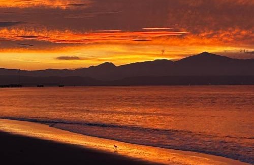 Puntarenas Apartamento | Apartamentos Estudio Junto al Mar
