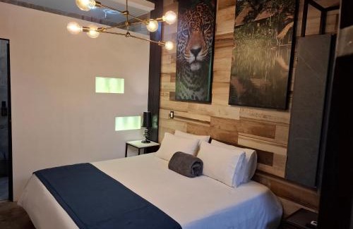 Zona Rosa Hotel | Apartamentos LLP