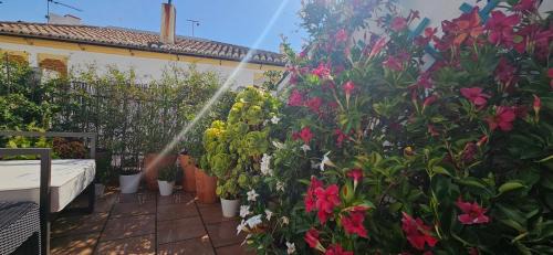 Ronda Apartamento | Apartamentos Los Descalzos Ángel With Private Terrace Free Parking
