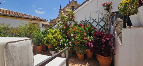 Ronda Apartamento | Apartamentos Los Descalzos Ángel With Private Terrace Free Parking