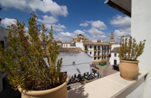 La Catedral Apartamento | Apartamentos Los Patios de la Judería