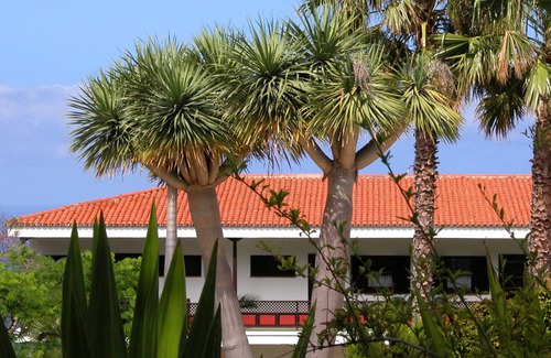Breña Alta Apartamento | Apartamentos Miranda