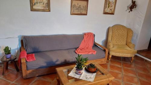 El Guincho Apartamento | Apartamentos Monasterio de San Antonio - Rustikales Apartment mit kleiner Innenhofterrasse