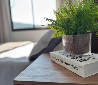 Ibirama Apartamento | Apartamentos Novos com Charme no centro de Ibirama