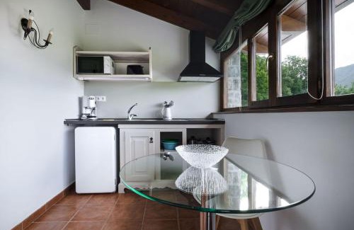 Sarvise Apartamento | Apartamentos Viña Olivan