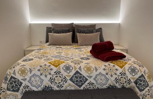 Vic Apartamento | Apartaments ApturVic en el Centre Històric