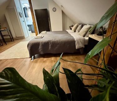 Szczawno-Zdroj Apartamento | Apartamenty Astor - Księżycowy