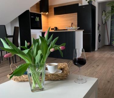 Szczawno-Zdroj Apartamento | Apartamenty Astor - Słoneczny