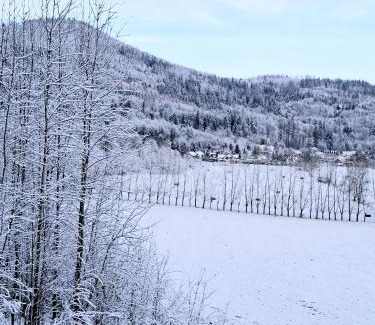 Milkow Apartamento | Apartamenty Chilldziówka w Miłkowie z sauną i z grillem Karpacz