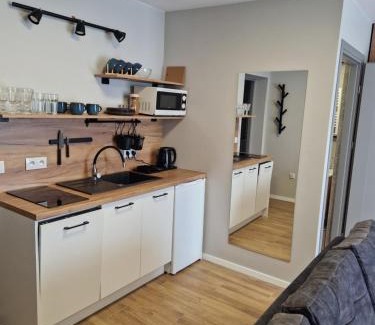 Gniezno Apartamento | Apartamenty-Dom Pod Sosną