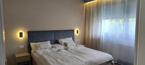 Przezmierowo Casa | Apartamenty Gościnne CMN BERTA ROGUS