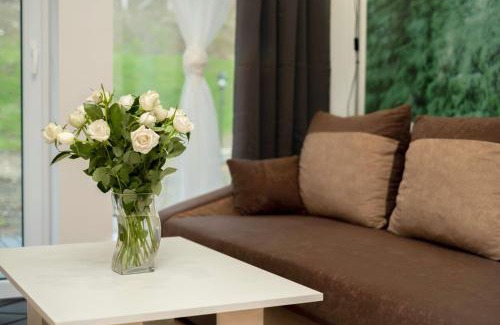 Stronie Slaskie Apartamento | Apartamenty GoszoWita