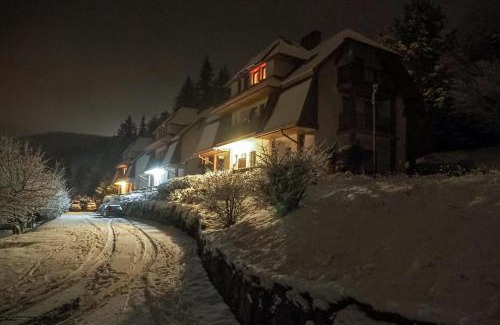 Stronie Slaskie Apartamento | Apartamenty Kletno