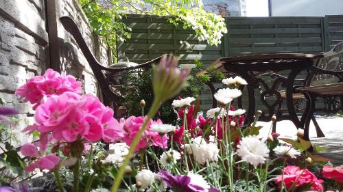 Zielona Gora Apartamento | Apartamenty Krzywe Okna