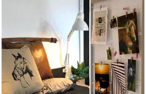 Dabrowno Apartamento | apartamenty lajkonik