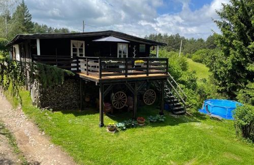 Dabrowno Apartamento | apartamenty lajkonik