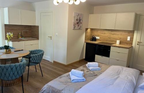 gmina Kaliska Apartamento | Apartamenty Leśna Przystań Kazub nr 11