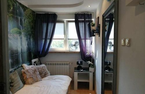 Siedlce Apartamento | Apartamenty na doby