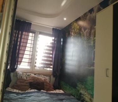 Siedlce Apartamento | Apartamenty na doby