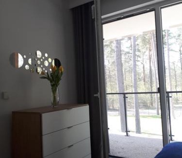 Augustow Apartamento | Apartamenty nad Jeziorem Necko
