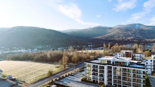 Bielsko-Biala Apartamento | Apartamenty Pod Dębowcem Premium Jungle