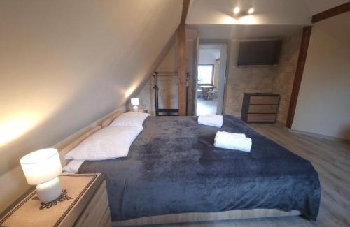 Witow Apartamento | Apartamenty Rodzinne