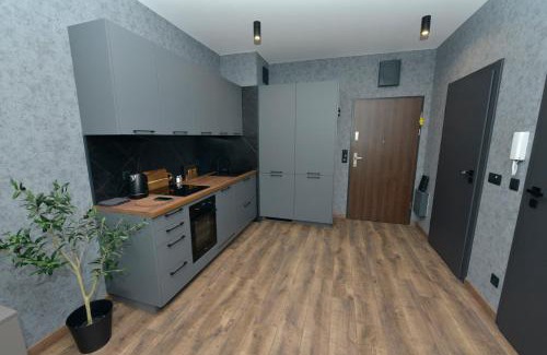 West Pomeranian Voivodeship Apartamento | Apartamenty Studio Nova 1 Szczecin