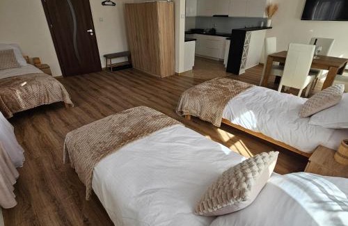 Dzialdowo Apartamento | Apartamenty Tadeusza Kościuszki 1 Jaspis