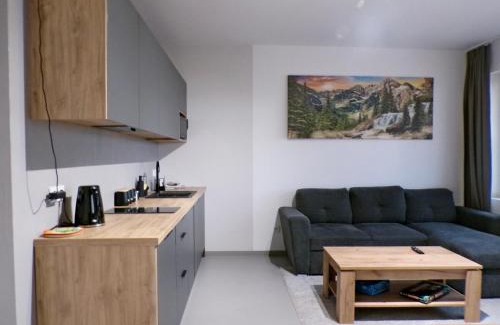 Male Ciche Apartamento | Apartamenty u Załogi