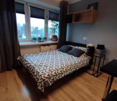 Zamosc Apartamento | Apartamenty Urban Concept
