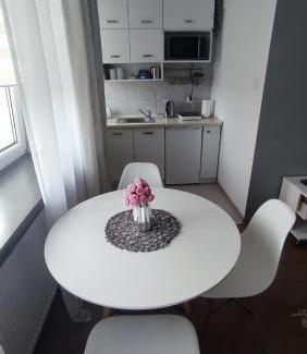 Zamosc Apartamento | Apartamenty Urban Concept