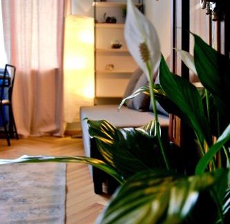 Kamienna Gora Apartamento | Apartamenty Wójcik Loft