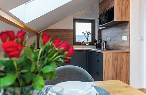Wisla Apartamento | Apartamenty Wisła Krzywa 8