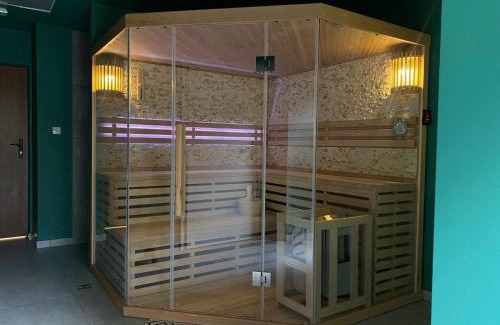 Duszniki Zdroj Apartamento | APARTAMENTY ZDROJOWA 9