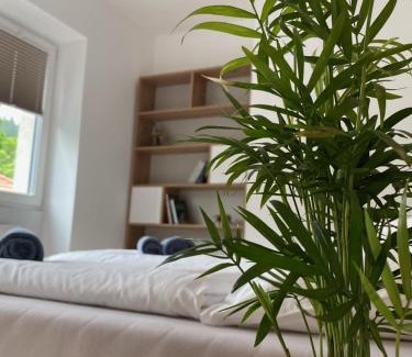 Duszniki Zdroj Apartamento | APARTAMENTY ZDROJOWA 9