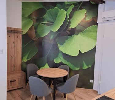Ciechocinek Apartamento | Apartamenty Zielony Liść