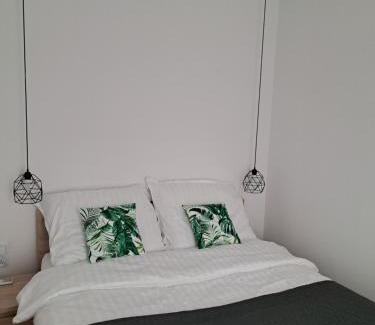 Ciechocinek Apartamento | Apartamenty Zielony Liść