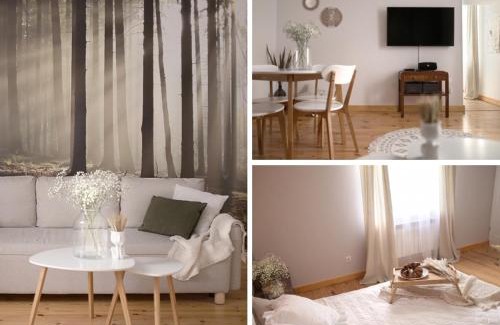 Zwierzyniec Apartamento | Apartamenty Zwierzyniec