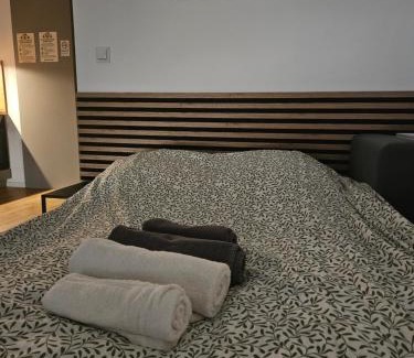 Czluchow Apartamento | ApartCzłuchów