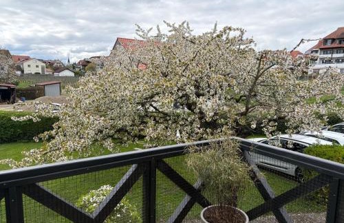 Hagnau Apartamento | Apartes Studio am See