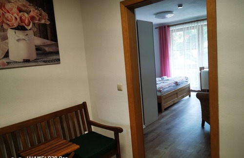 Zwiesel Complejo | Aparthotel Chrysantihof - Zwiesel - Apartment with large balcony, 2 room app