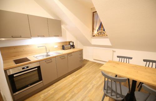 Oberwiesenthal Apartamento | Aparthotel Deutscher Kaiser Ferienwohnungen