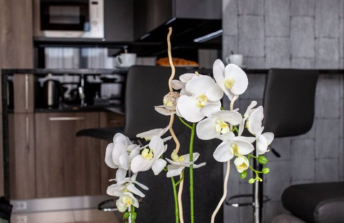 Wroclaw Old Town Apartamento | Aparthotel New Lux