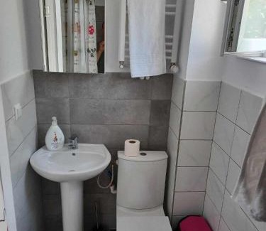 Galati Apartamento | ApartHotel Oltului