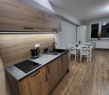 Bystrzyca Kłodzka Apartamento | ApartHotel10