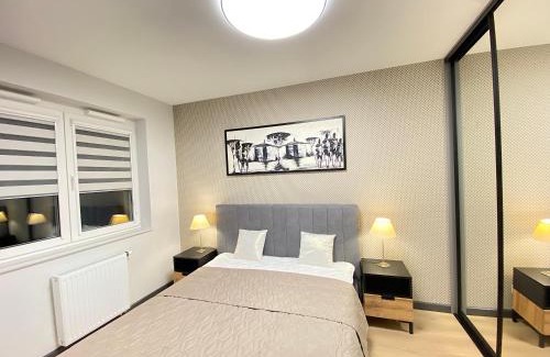 Psie Pole Apartamento | Apartimento Vespa
