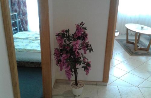 Vrchlabi Apartamento | Apartmá Ježková