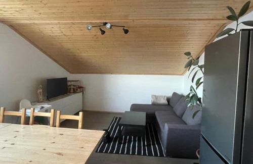 Horni Marsov Apartamento | Apartmán Čížci Horní Maršov