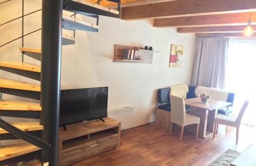 Ricky v Orlickych horach Apartamento | Apartmán Říčky 23