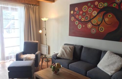 Ricky v Orlickych horach Apartamento | Apartmán Říčky 23